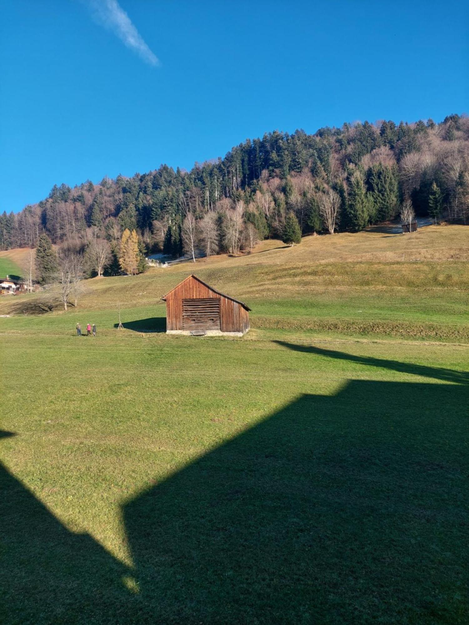 Gemuetliche Wohnung Mit Talblick Batschuns エクステリア 写真