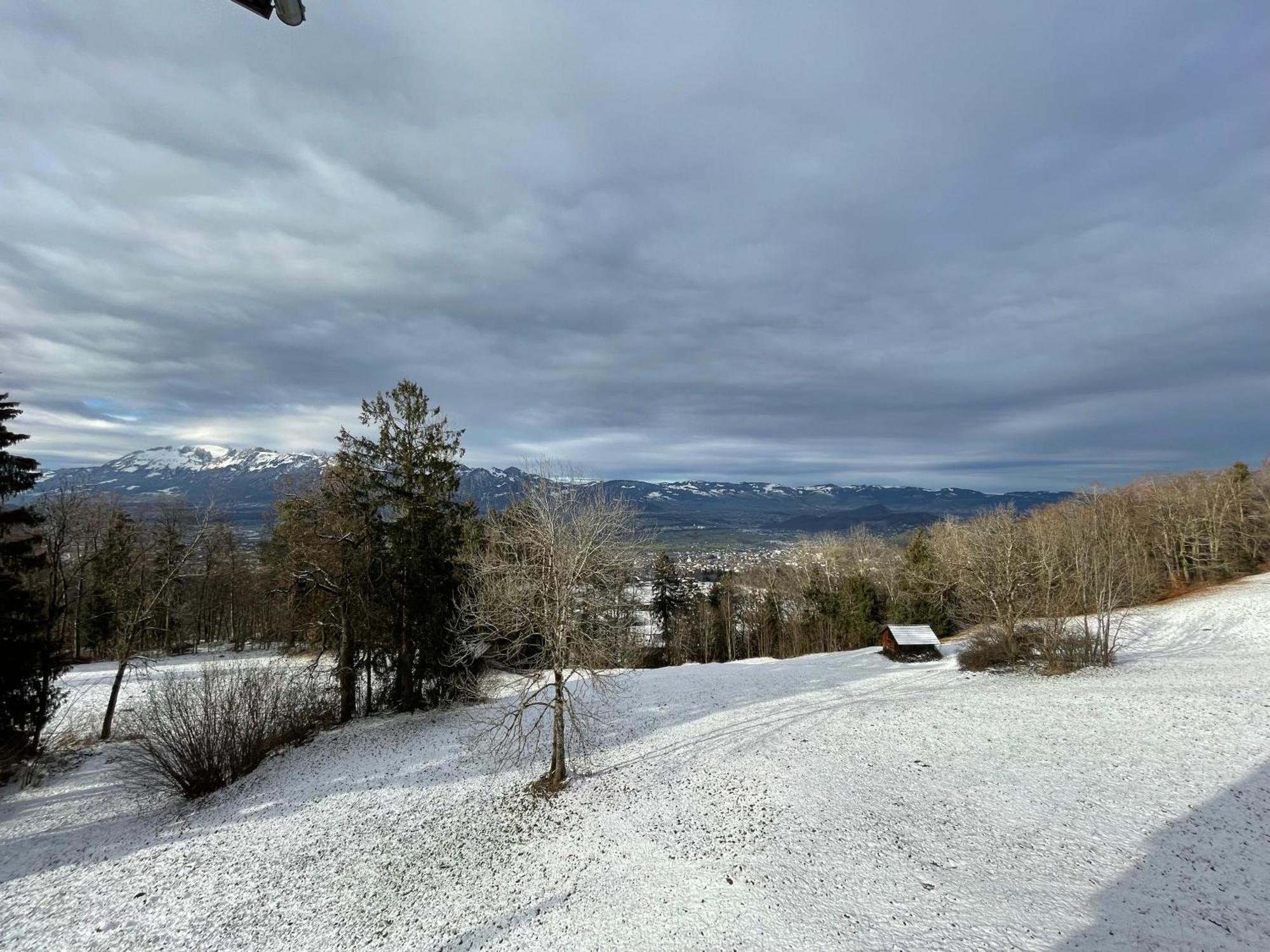 Gemuetliche Wohnung Mit Talblick Batschuns エクステリア 写真