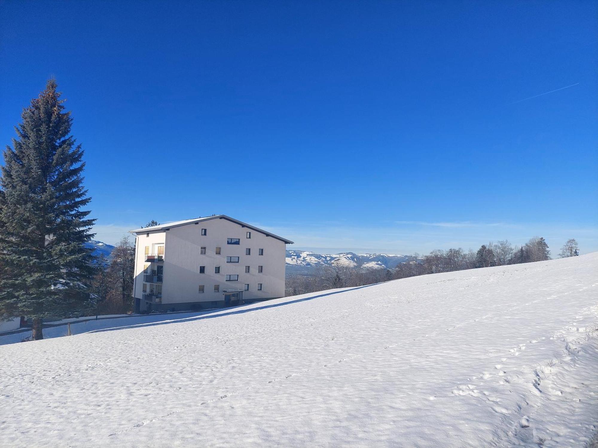 Gemuetliche Wohnung Mit Talblick Batschuns エクステリア 写真